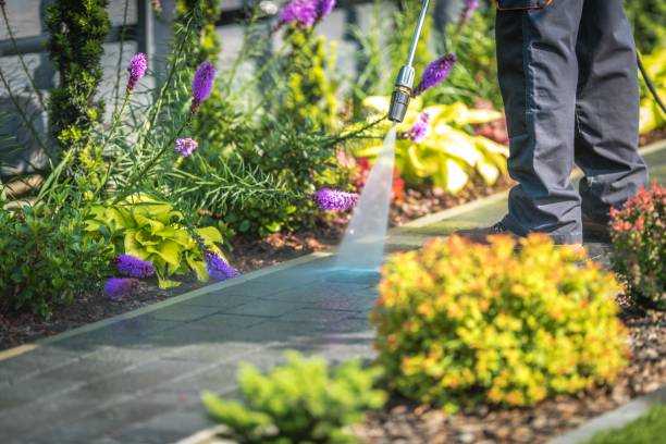 Best Deck and Patio Pressure Washing in Cutchogue, NY